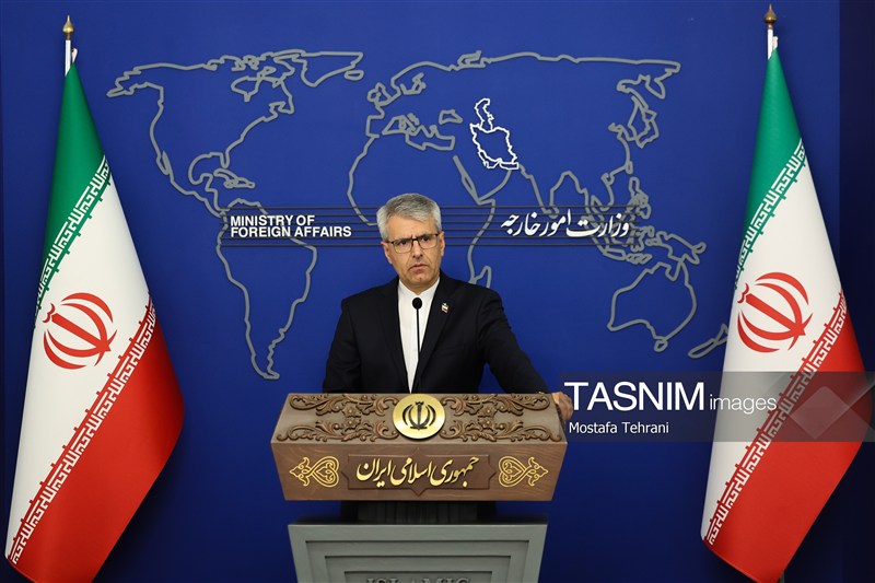 بقائی: ایران وضعیت خلبانان ارتش را از مجاری دیپلماتیک پیگیری می‌کند