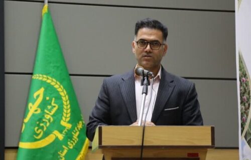 برنامه‌های ویژه هفته همدان برای معرفی گیاهان دارویی و داروهای گیاهی