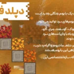 1000102539-1024x614-1